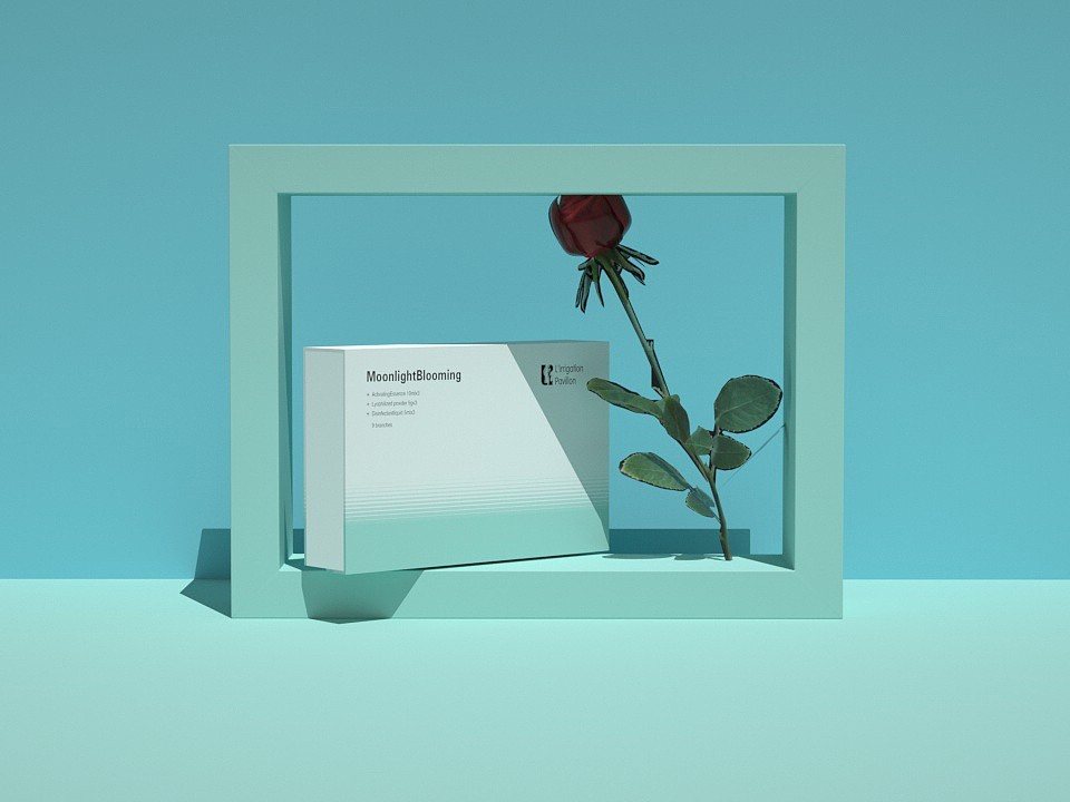 生物醫藥包裝盒_山東包裝盒廠_濟南恒印包裝盒有限公司 生物醫藥包裝盒_山東包裝盒廠_濟南恒印包裝盒有限公司